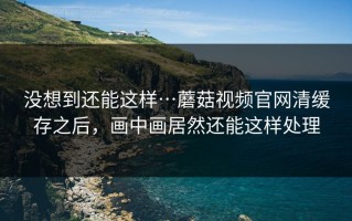没想到还能这样…蘑菇视频官网清缓存之后，画中画居然还能这样处理