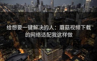 给想要一键解决的人：蘑菇视频下载的网络适配我这样做