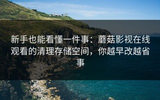 新手也能看懂一件事：蘑菇影视在线观看的清理存储空间，你越早改越省事