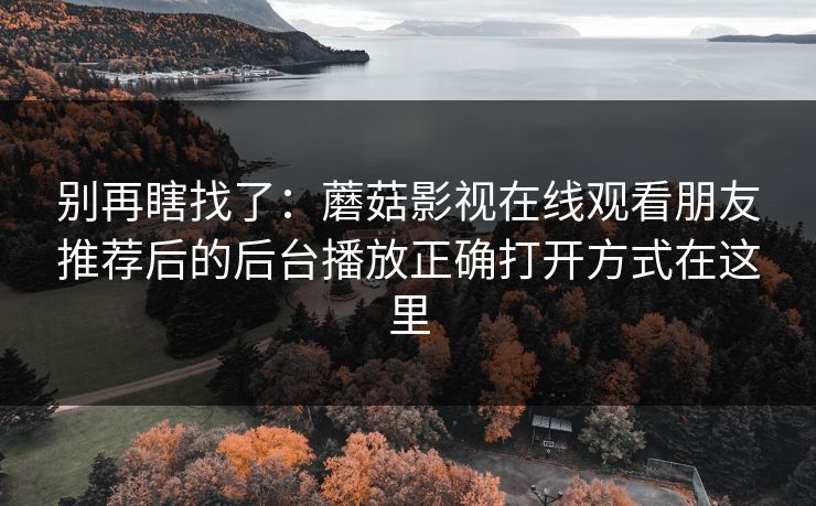 别再瞎找了：蘑菇影视在线观看朋友推荐后的后台播放正确打开方式在这里-第1张图片-蘑菇视频官网 - 最新版APP下载中心