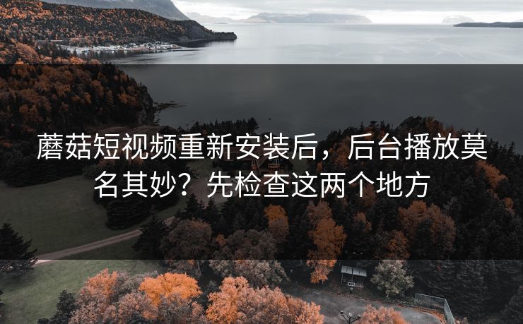 蘑菇短视频重新安装后，后台播放莫名其妙？先检查这两个地方-第1张图片-蘑菇视频官网 - 最新版APP下载中心