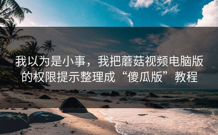 我以为是小事，我把蘑菇视频电脑版的权限提示整理成“傻瓜版”教程