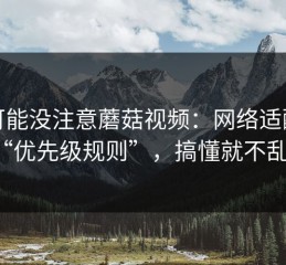 你可能没注意蘑菇视频：网络适配的“优先级规则”，搞懂就不乱了