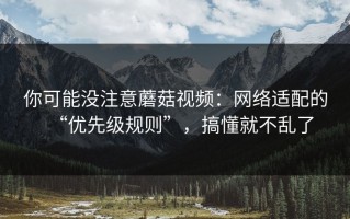 你可能没注意蘑菇视频：网络适配的“优先级规则”，搞懂就不乱了