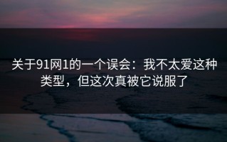 关于91网1的一个误会：我不太爱这种类型，但这次真被它说服了