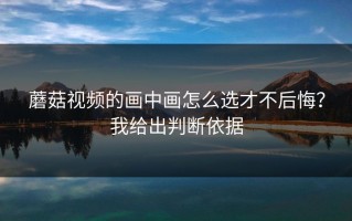 蘑菇视频的画中画怎么选才不后悔？我给出判断依据
