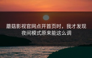 蘑菇影视官网点开首页时，我才发现夜间模式原来能这么调