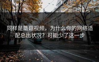 同样是蘑菇视频，为什么你的网络适配总出状况？可能少了这一步