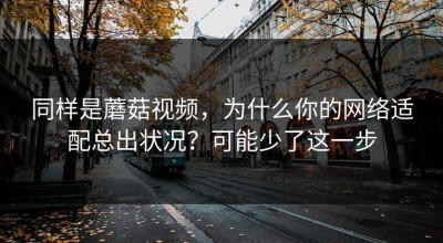 同样是蘑菇视频，为什么你的网络适配总出状况？可能少了这一步