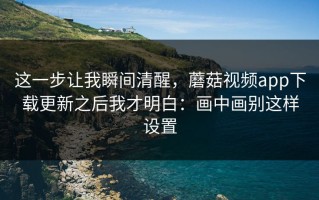 这一步让我瞬间清醒，蘑菇视频app下载更新之后我才明白：画中画别这样设置