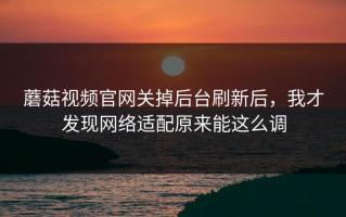 蘑菇视频官网关掉后台刷新后，我才发现网络适配原来能这么调