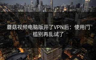 蘑菇视频电脑版开了VPN后：使用门槛别再乱试了