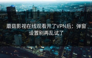 蘑菇影视在线观看开了VPN后：弹窗设置别再乱试了