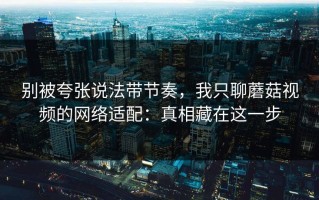 别被夸张说法带节奏，我只聊蘑菇视频的网络适配：真相藏在这一步
