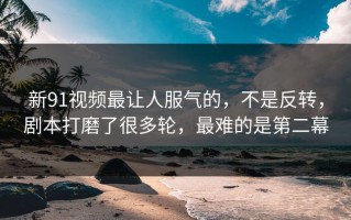 新91视频最让人服气的，不是反转，剧本打磨了很多轮，最难的是第二幕