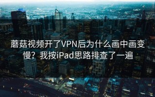 蘑菇视频开了VPN后为什么画中画变慢？我按iPad思路排查了一遍