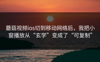 蘑菇视频ios切到移动网络后，我把小窗播放从“玄学”变成了“可复制”