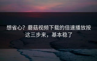想省心？蘑菇视频下载的倍速播放按这三步来，基本稳了