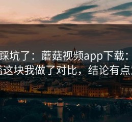 别再踩坑了：蘑菇视频app下载：使用门槛这块我做了对比，结论有点意外