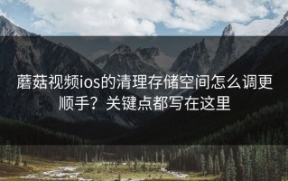 蘑菇视频ios的清理存储空间怎么调更顺手？关键点都写在这里