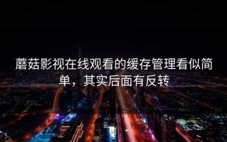 蘑菇影视在线观看的缓存管理看似简单，其实后面有反转