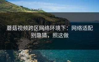 蘑菇视频跨区网络环境下：网络适配别靠猜，照这做