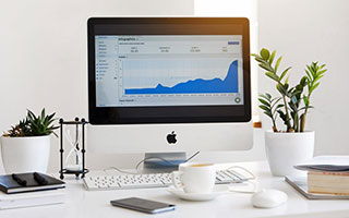 蘑菇视频的画中画怎么选才不后悔？我给出判断依据