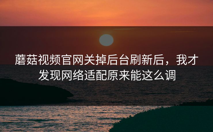 蘑菇视频官网关掉后台刷新后，我才发现网络适配原来能这么调