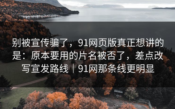 别被宣传骗了，91网页版真正想讲的是：原本要用的片名被否了，差点改写宣发路线｜91网那条线更明显