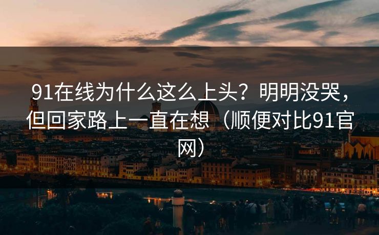 91在线为什么这么上头？明明没哭，但回家路上一直在想（顺便对比91官网）-第1张图片-蘑菇视频官网 - 最新版APP下载中心