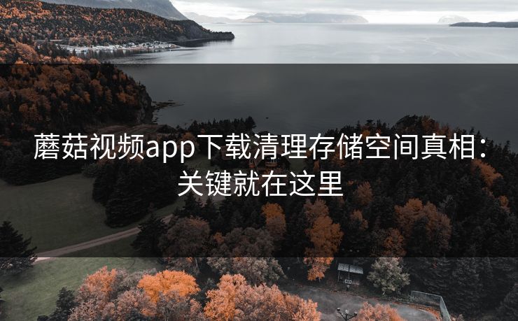 蘑菇视频app下载清理存储空间真相:关键就在这里-第1张图片-蘑菇视频官网 - 最新版APP下载中心 蘑菇视频app下载清理存储空间真相:关键就在这里-第1张图片-蘑菇视频官网 - 最新版APP下载中心