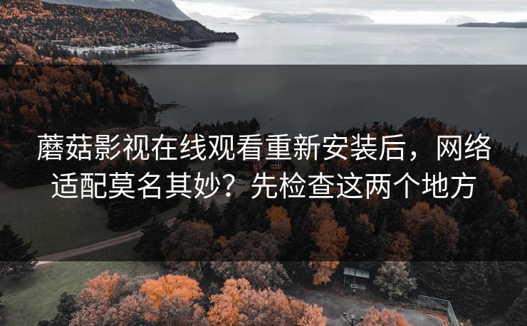 蘑菇影视在线观看重新安装后，网络适配莫名其妙？先检查这两个地方-第1张图片-蘑菇视频官网 - 最新版APP下载中心