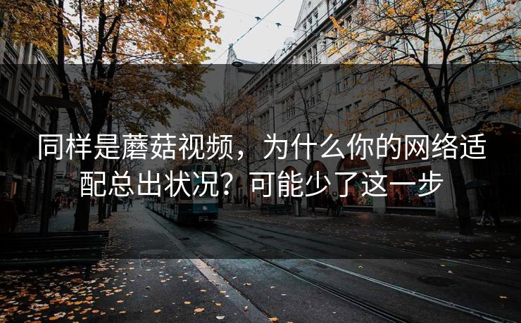 同样是蘑菇视频,为什么你的网络适配总出状况?可能少了这一步-第1张图片-蘑菇视频官网 - 最新版APP下载中心 同样是蘑菇视频,为什么你的网络适配总出状况?可能少了这一步-第1张图片-蘑菇视频官网 - 最新版APP下载中心