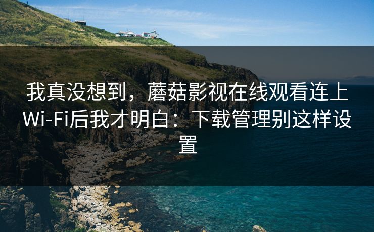 我真没想到，蘑菇影视在线观看连上Wi‑Fi后我才明白：下载管理别这样设置