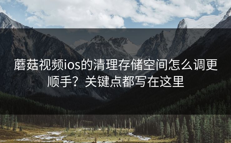 蘑菇视频ios的清理存储空间怎么调更顺手？关键点都写在这里