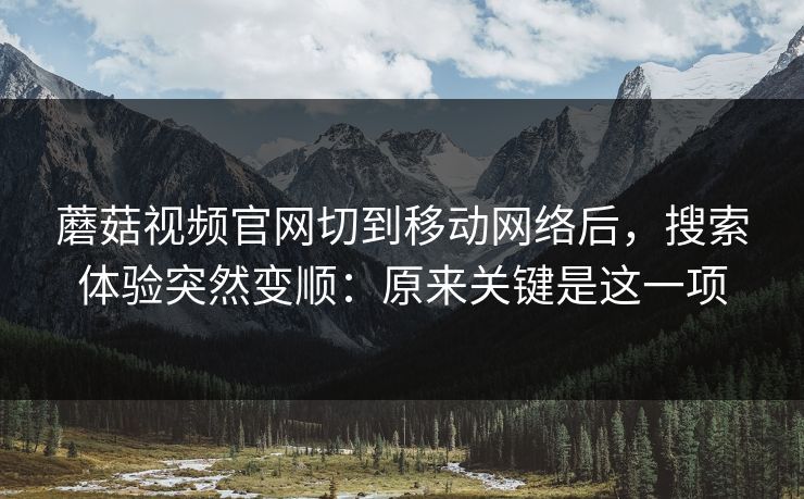蘑菇视频官网切到移动网络后，搜索体验突然变顺：原来关键是这一项