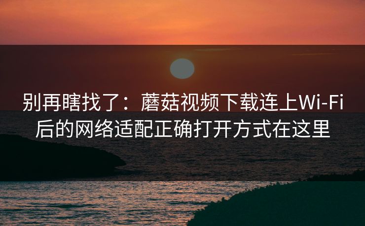 别再瞎找了：蘑菇视频下载连上Wi‑Fi后的网络适配正确打开方式在这里